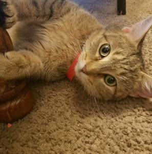 Meet your Posher, Maria